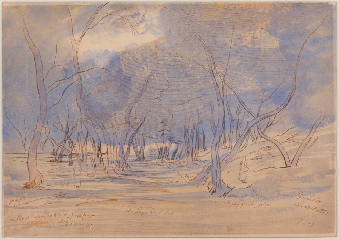 A grove of trees with a violet watercolor wash