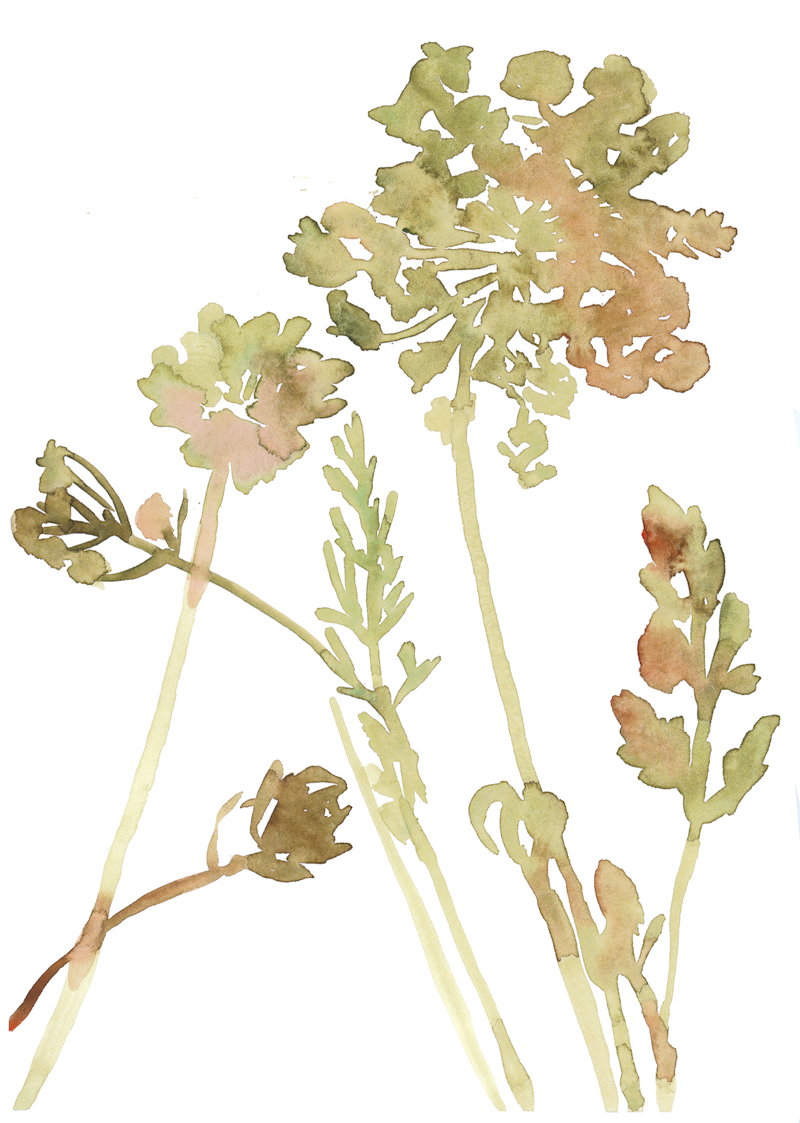 Language of the Field | Susan Barba | The New York Review of Books