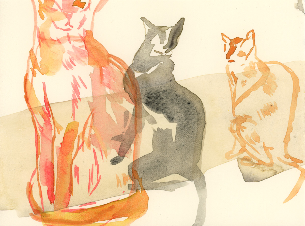 Watercolor painting of cats