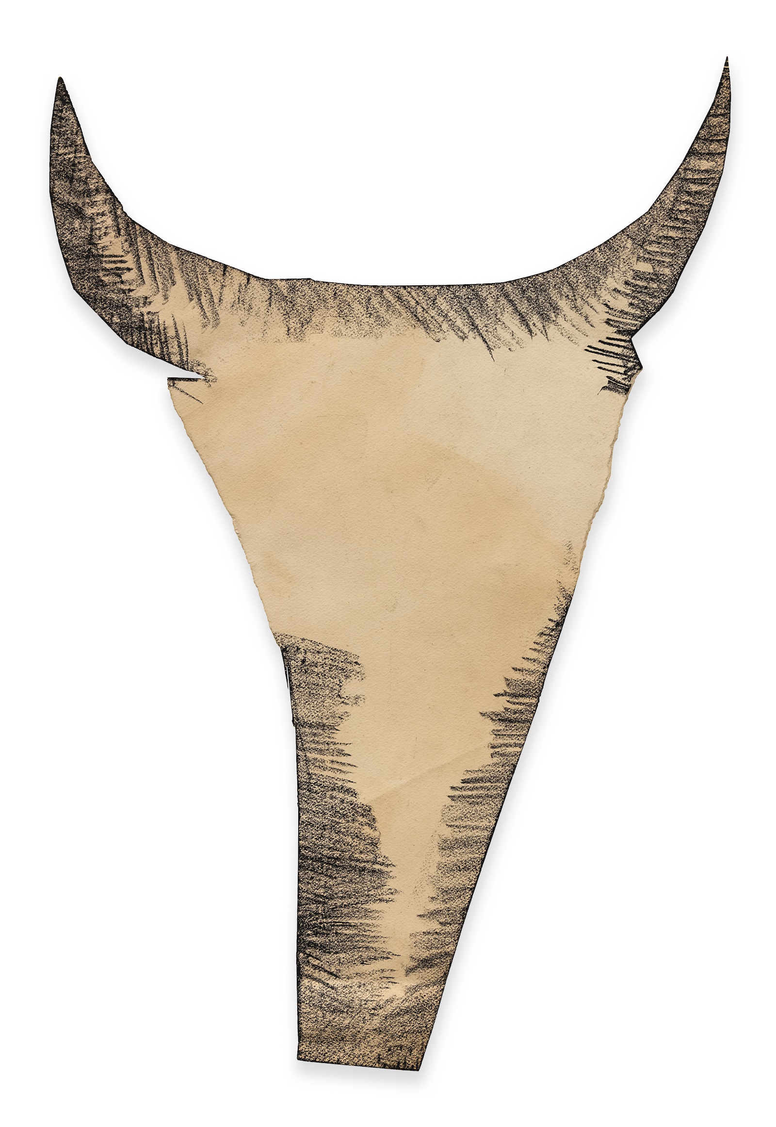 A beige paper cutout of a long, narrow bull's head with horns, the edges shaded in