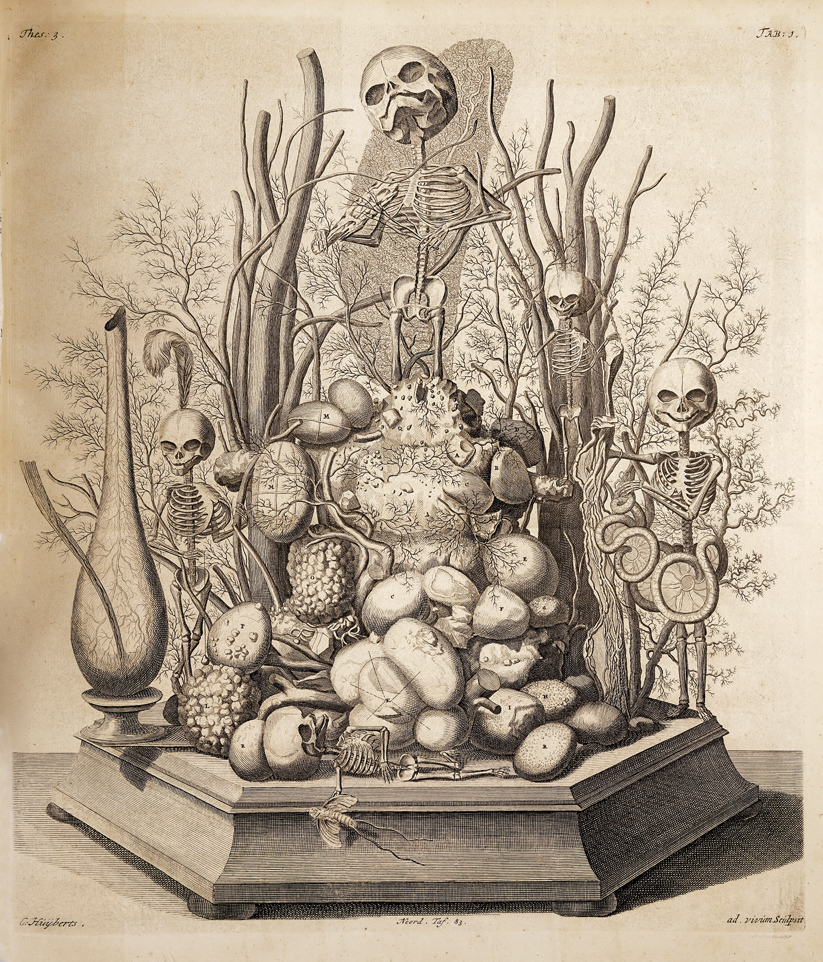 Engraving of an allegorical tableau by Frederik Ruysch composed of human fetal skeletons, kidney stones, bladder tissue, and other organic material
