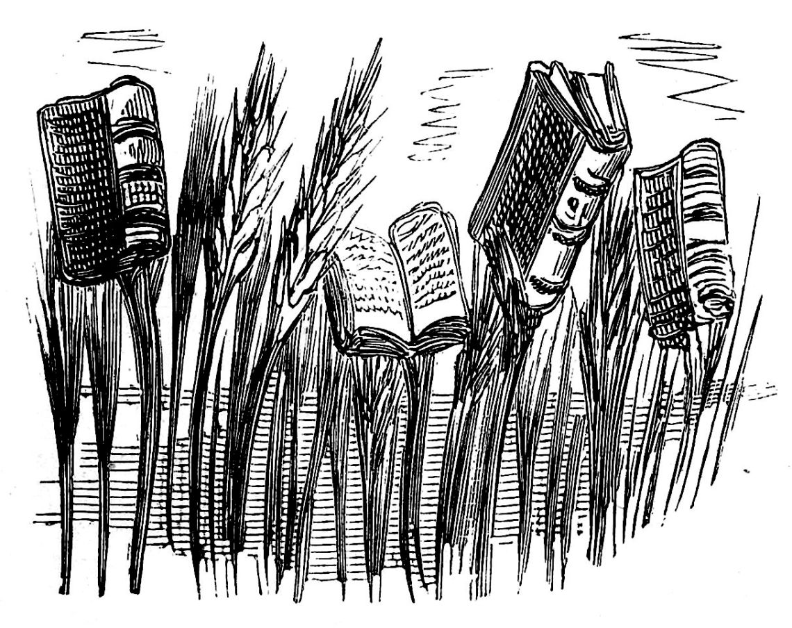 An engraving of books growing on stalks of wheat