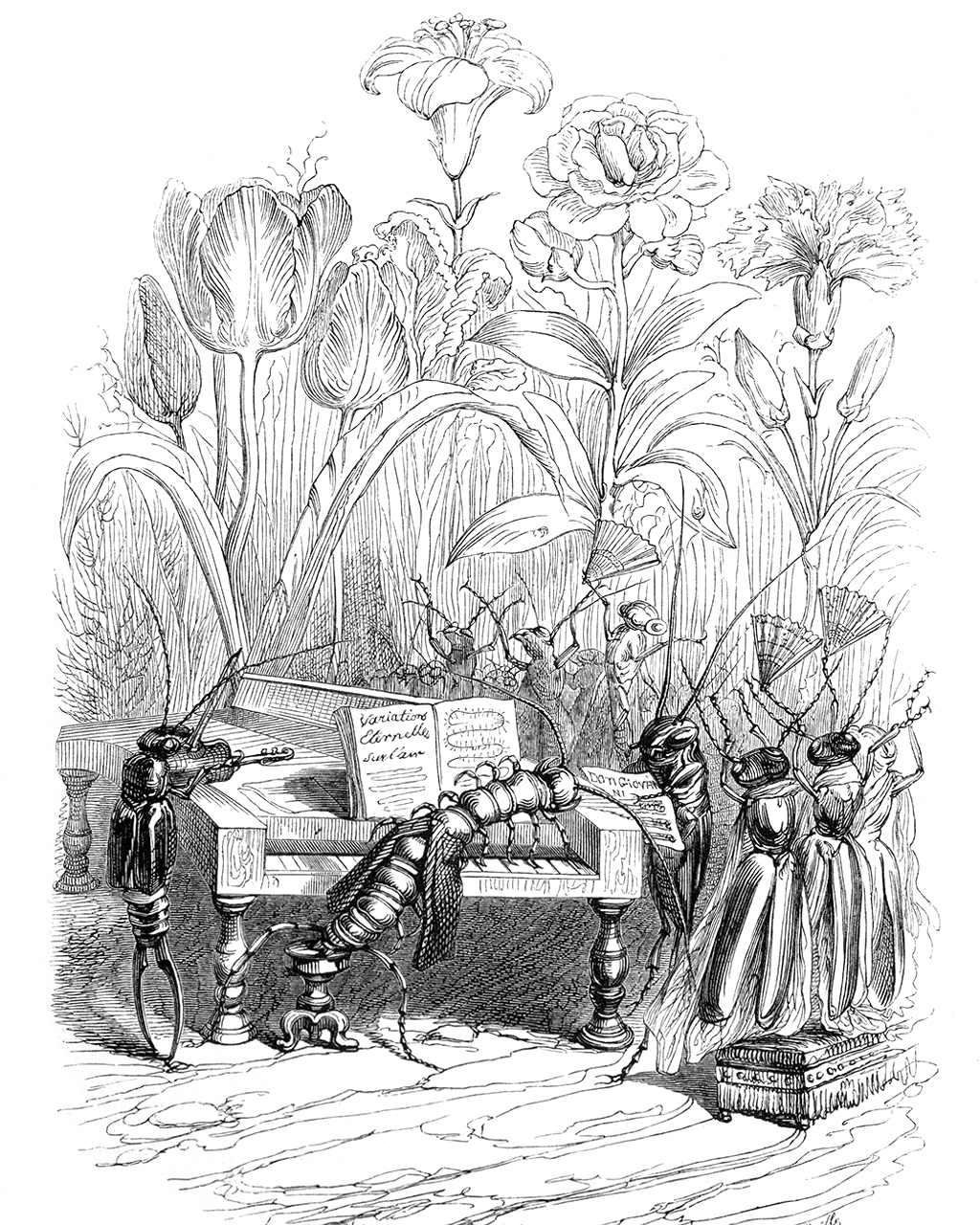 A black and white engraving of insects in a flower garden playing at a grand piano and fiddle, while crickets dance