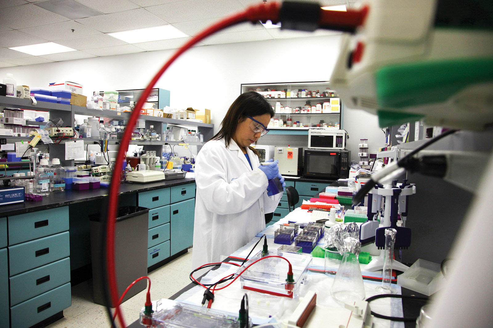 A research scientist for Pharmacyclics working in a lab, Sunnyvale, California