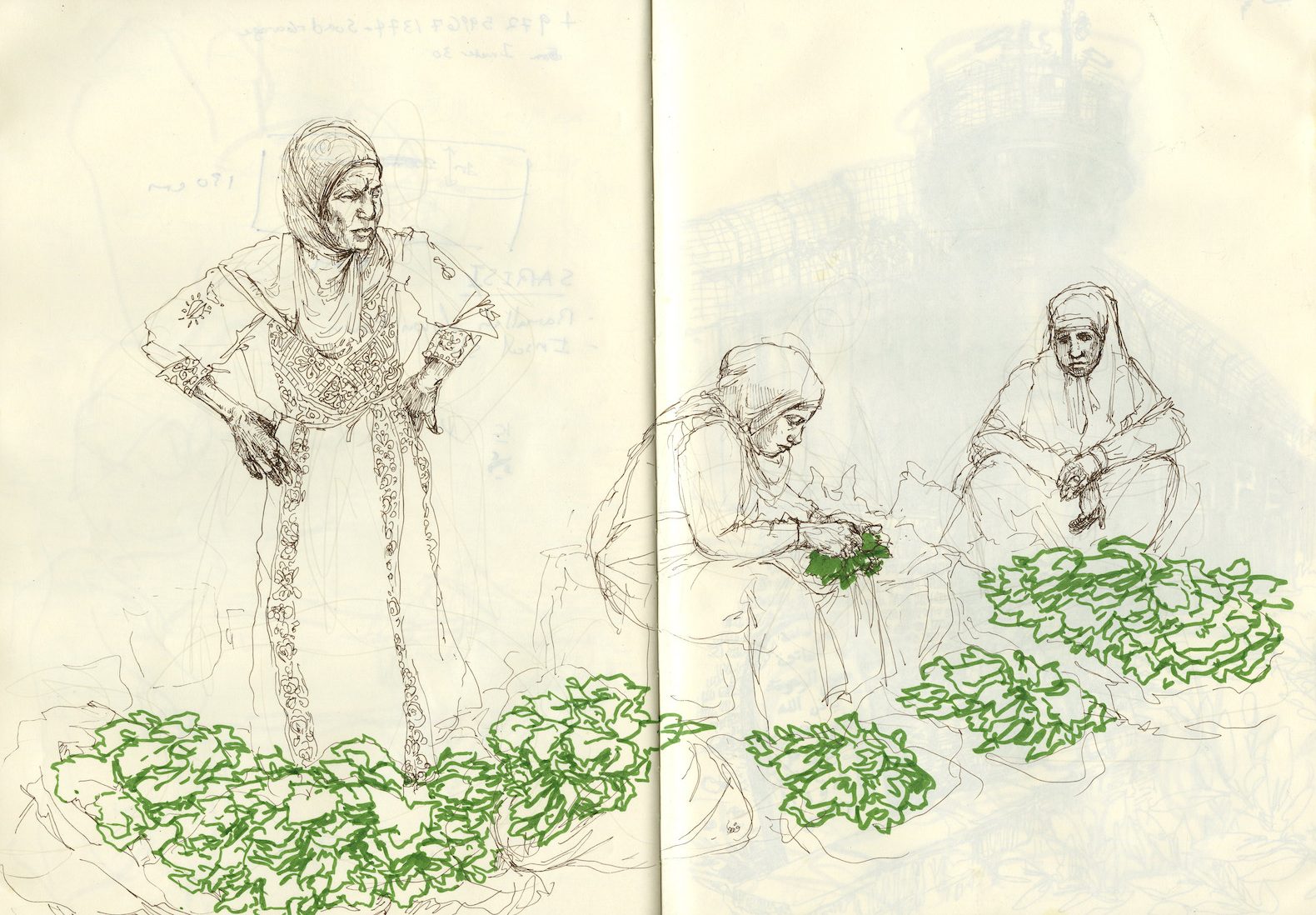 Drawing of three old women stand above piles of green produce
