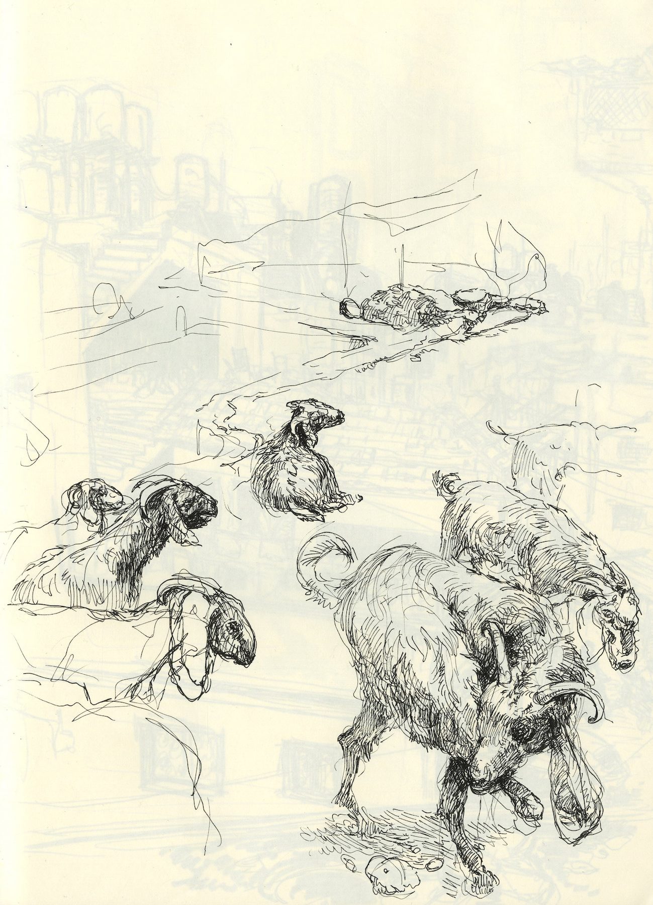 Drawing of a flock of goats