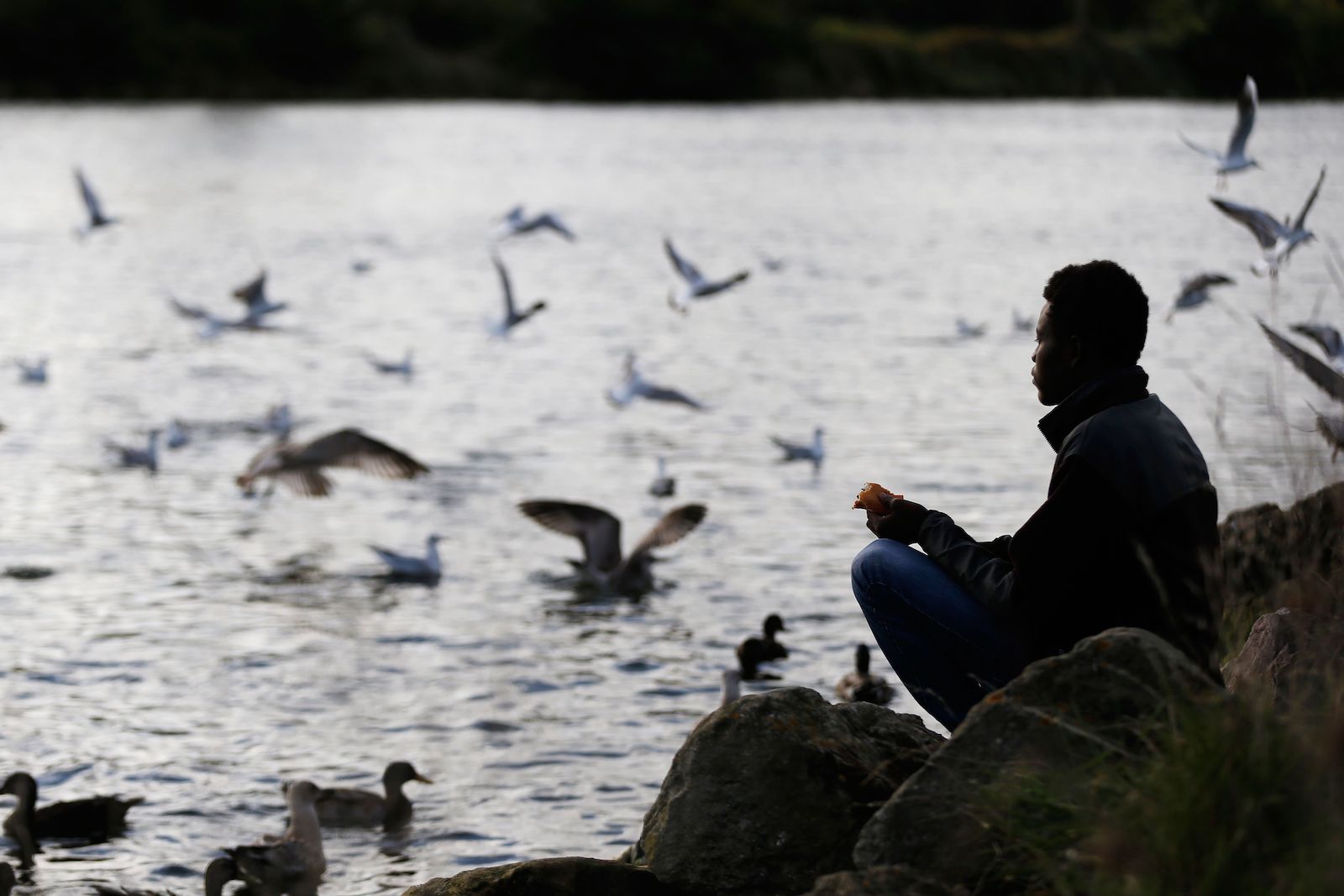 A young African man silhouetted against water amid a flock of sea fowl