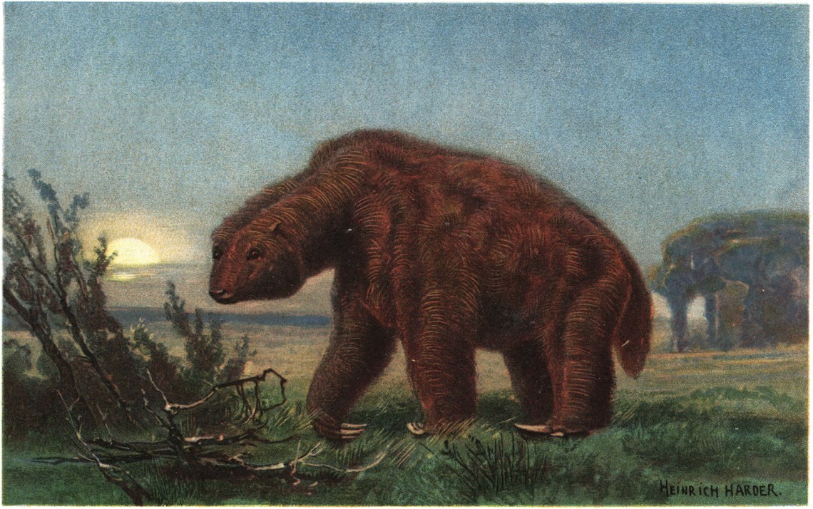 Megatherium americanum, an elephant-sized species of ground sloth
