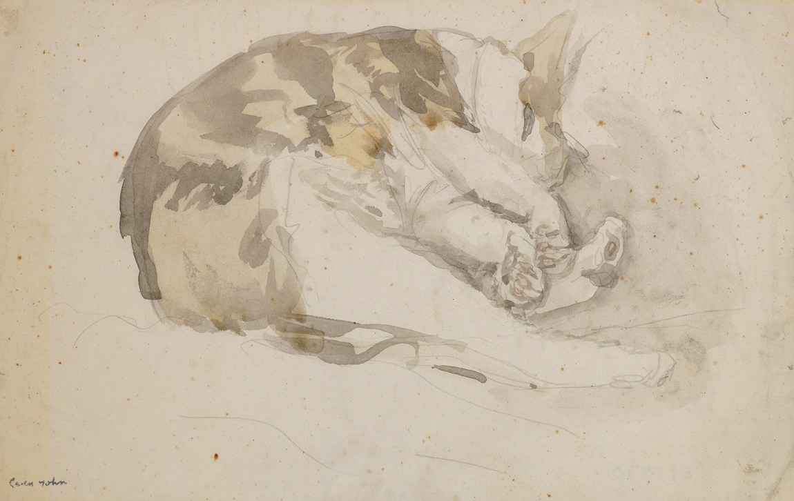Sleeping Tortoiseshell Cat, Edgar Quinet; painting by Gwen John