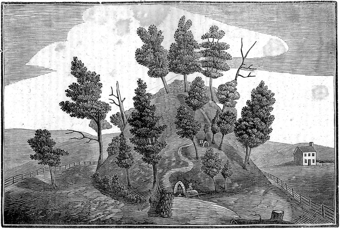 View of Grave Creek Mound; engraving by Ebenezer Mathers, 1839